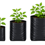 Nursery polythene bags
